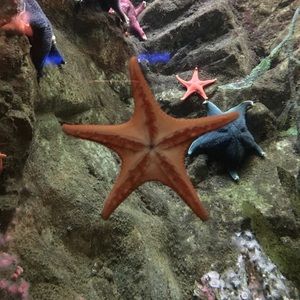 Meet your Posher, Jim